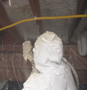 Scranton PA crawl space insulation